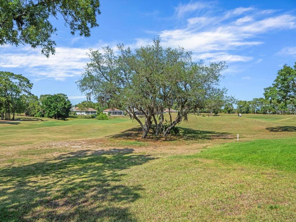 9216 Tarleton Circle Weeki Wachee, FL 34613 - Photo 53 of 66
