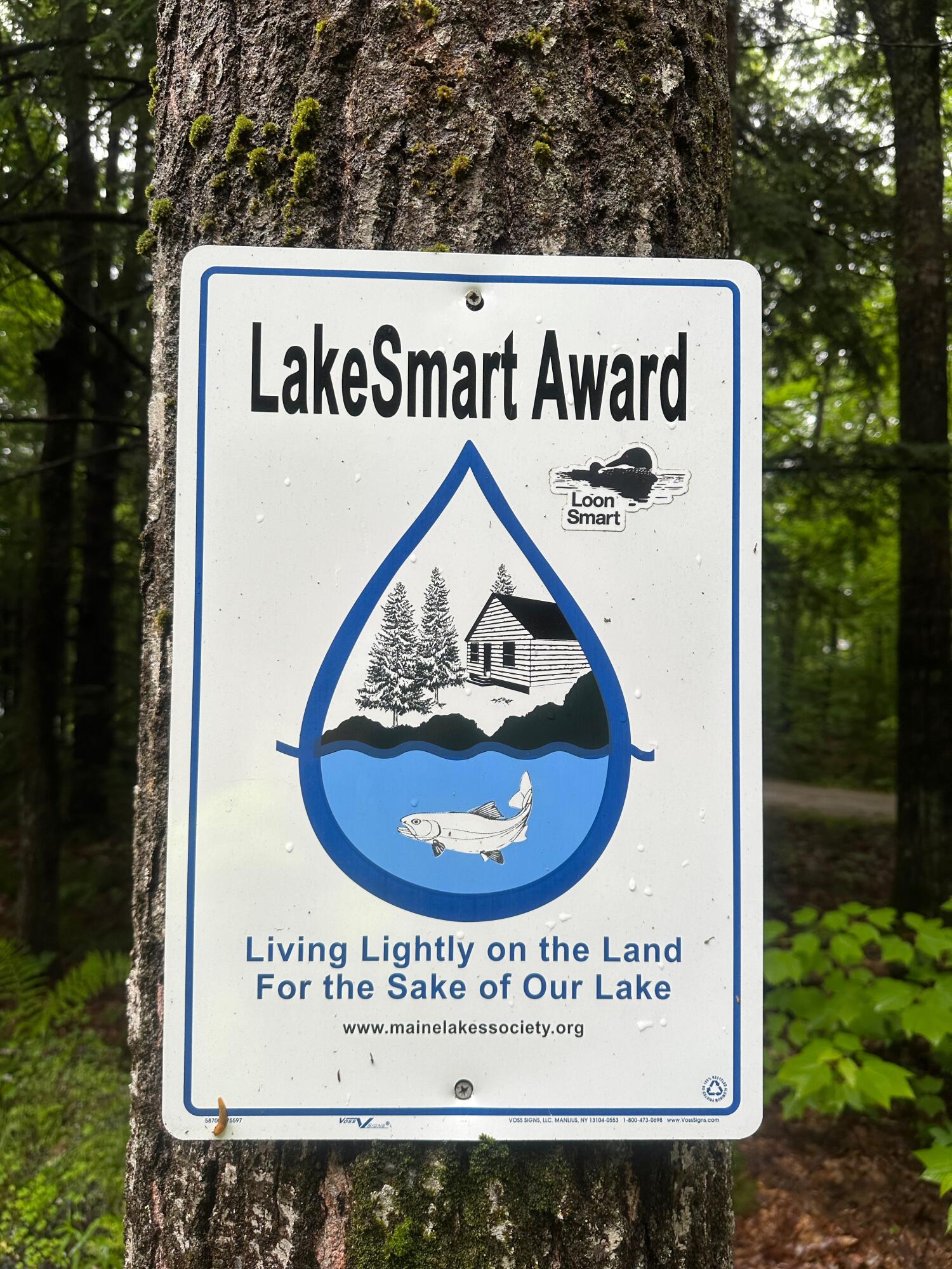 144 Beaver Brook Estates Rome, ME 04963 - Photo 95 of 99 IMG_2229