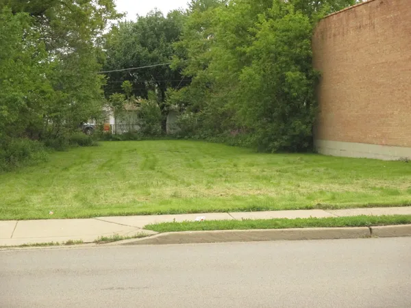 a view of a yard