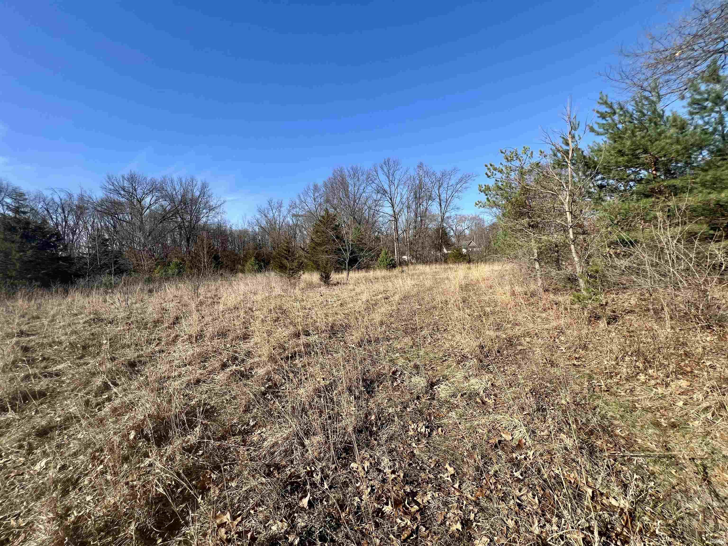 Tbd Tbd Willow North Judson, IN 46366 - Photo 5 of 10