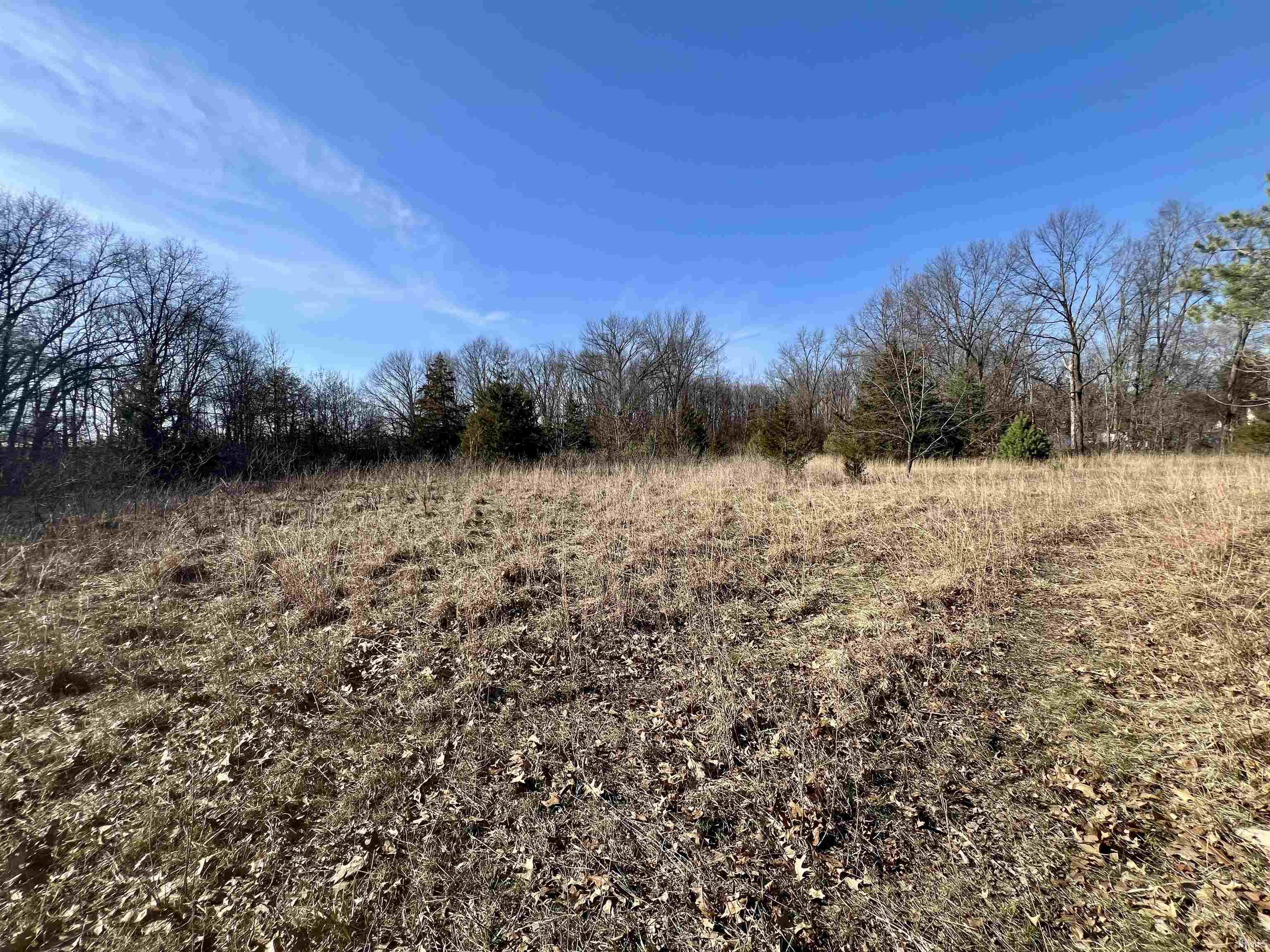 Tbd Tbd Willow North Judson, IN 46366 - Photo 6 of 10