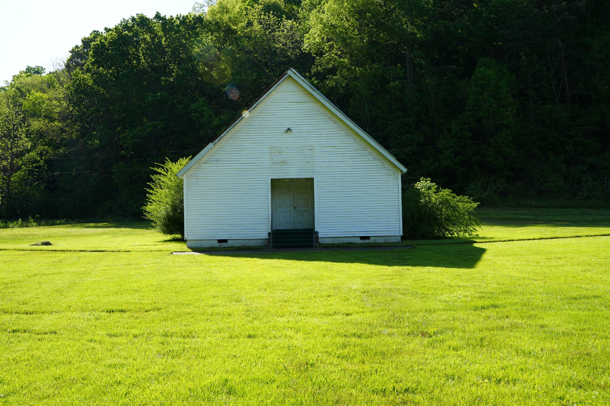 Gallery Image 4
