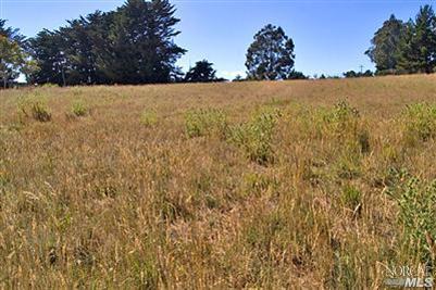 149 Mesa Road Point Reyes Station, CA 94956 - Photo 1 of 5 a view of outdoor space and mountain view