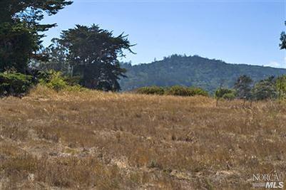 149 Mesa Road Point Reyes Station, CA 94956 - Photo 4 of 5 a view of mountain and tree