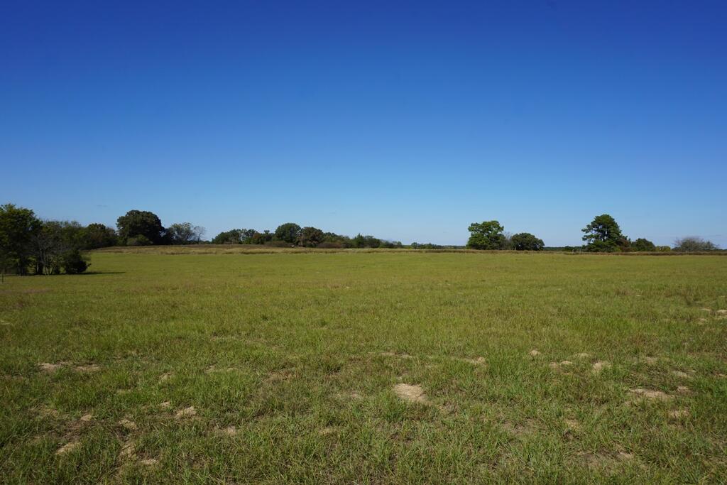 Cr4301 Plainview Road Naples, TX 75568 - Photo 17 of 31 Gallery Image 17