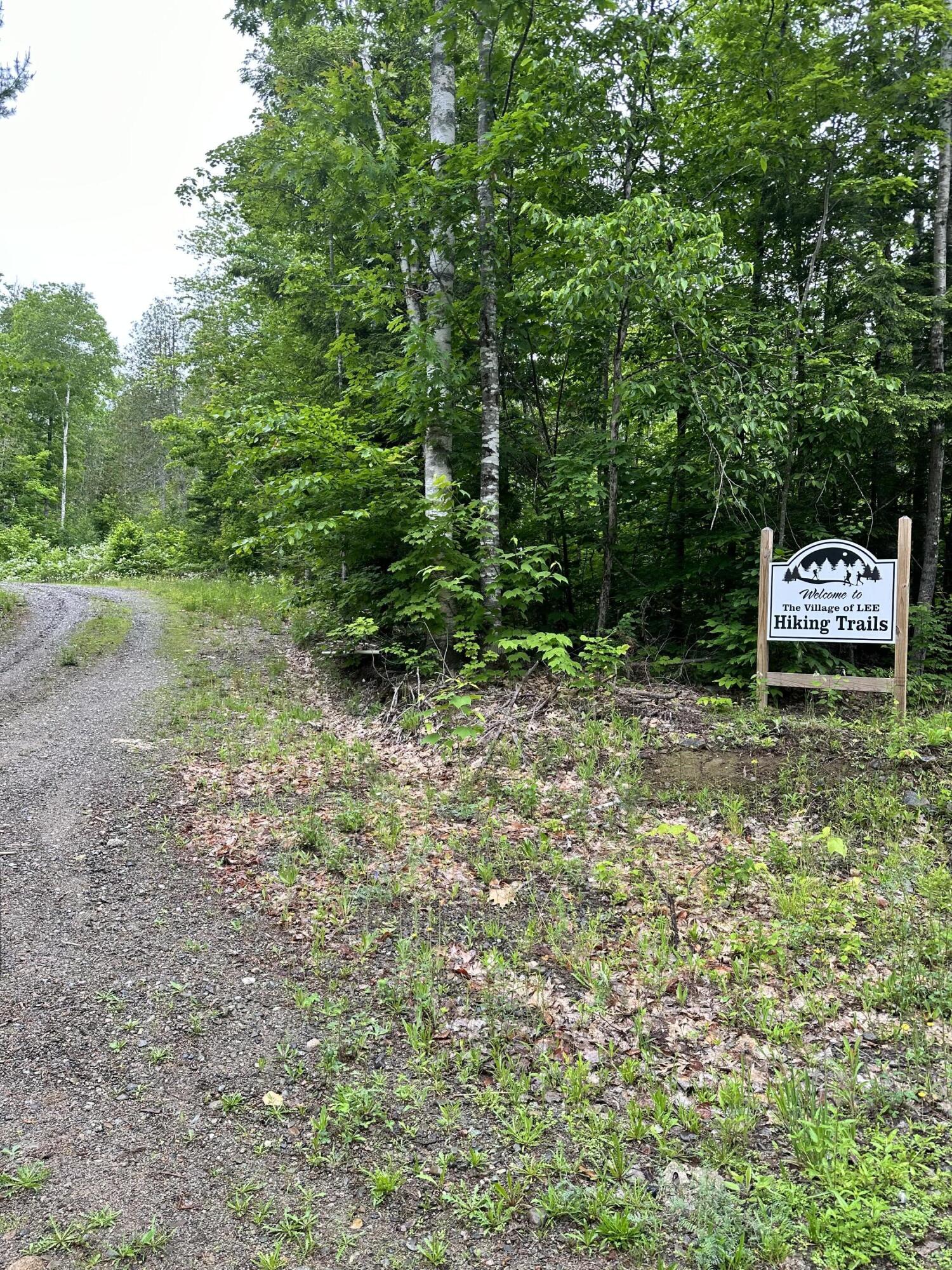 207 Coles Landing Lee, ME 04455 - Photo 54 of 56 IMG_0362