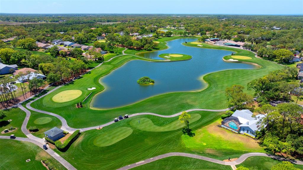 2671 Royal Ridge Drive Spring Hill, FL 34606 - Photo 45 of 55