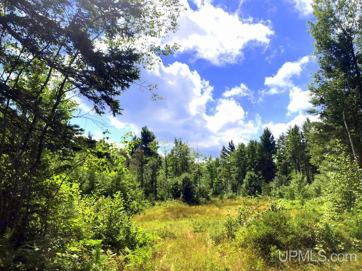 Tbd Tbd Co Road Negaunee, MI 49866 - Photo 2 of 24