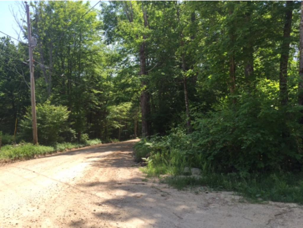 Lot 15.1 Canaan Back Road Barrington, NH 03825 - Photo 3 of 4