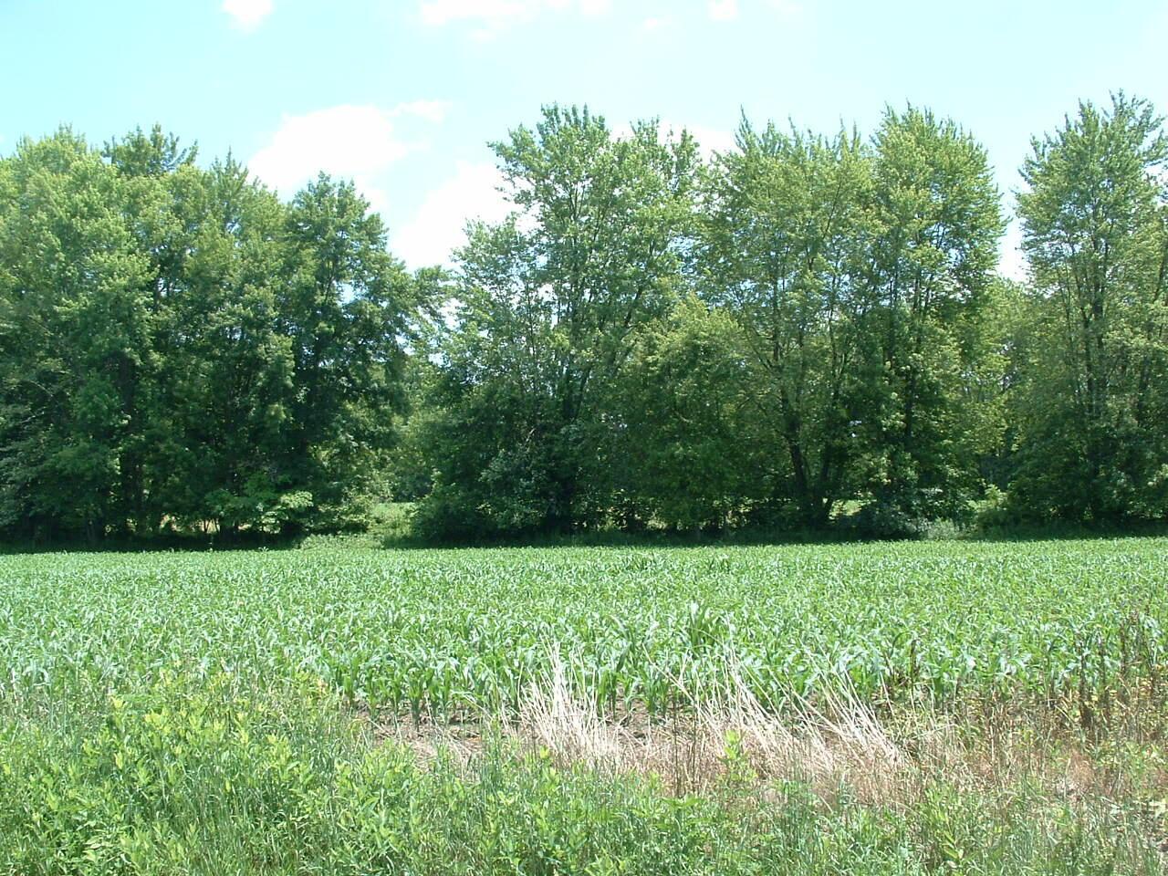 0 Clover Valley Road Northwest Johnstown, OH 43031 - Photo 9 of 16 DSCF0008