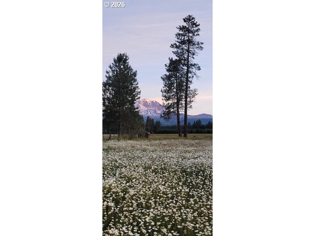 106 Lakeside Road Glenwood, WA 98619 - Photo 4 of 8