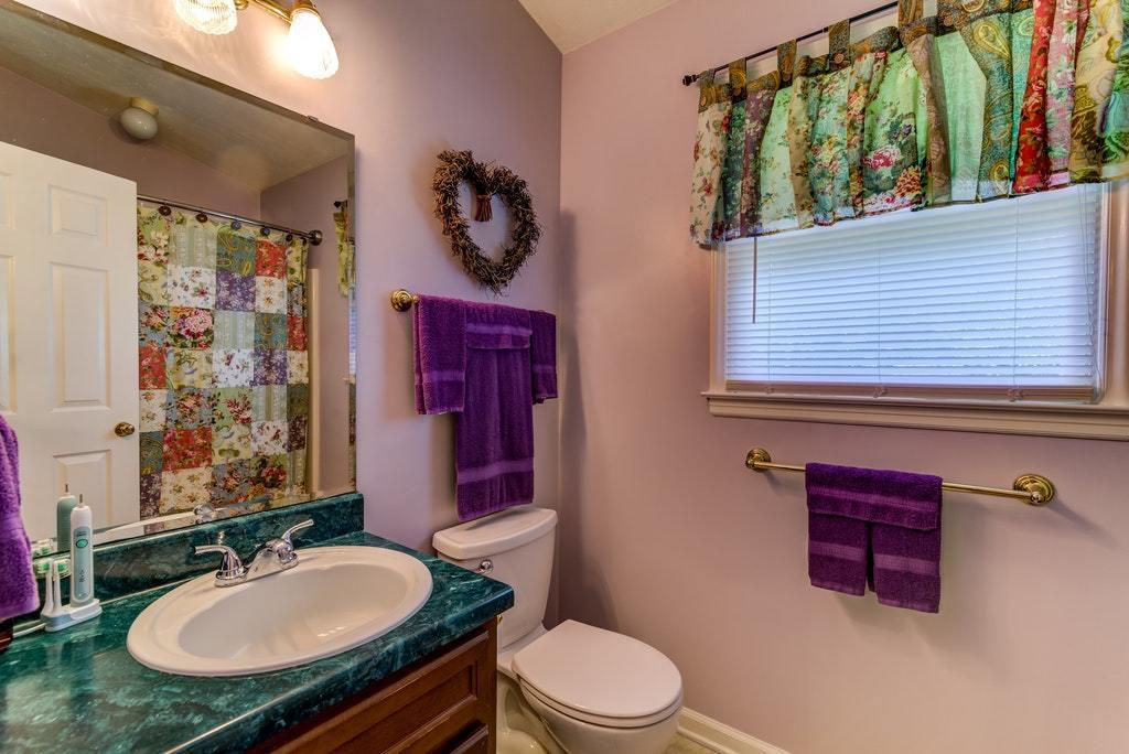 121 Oak Ridge Court Blue Ridge, VA 24064 - Photo 25 of 63 a bathroom with a granite countertop sink a toilet a mirror and shower curtain