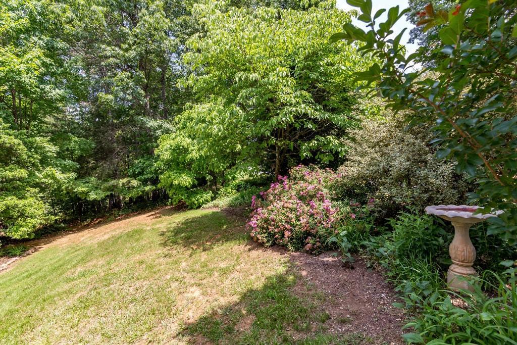 121 Oak Ridge Court Blue Ridge, VA 24064 - Photo 39 of 63 a view of a garden with large trees