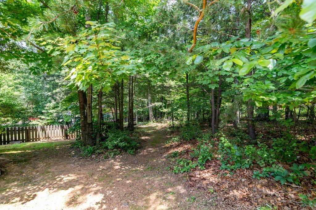 121 Oak Ridge Court Blue Ridge, VA 24064 - Photo 42 of 63 a view of a park with large trees