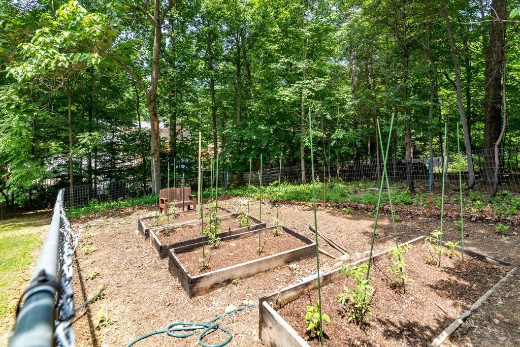 121 Oak Ridge Court Blue Ridge, VA 24064 - Photo 52 of 63 Garden