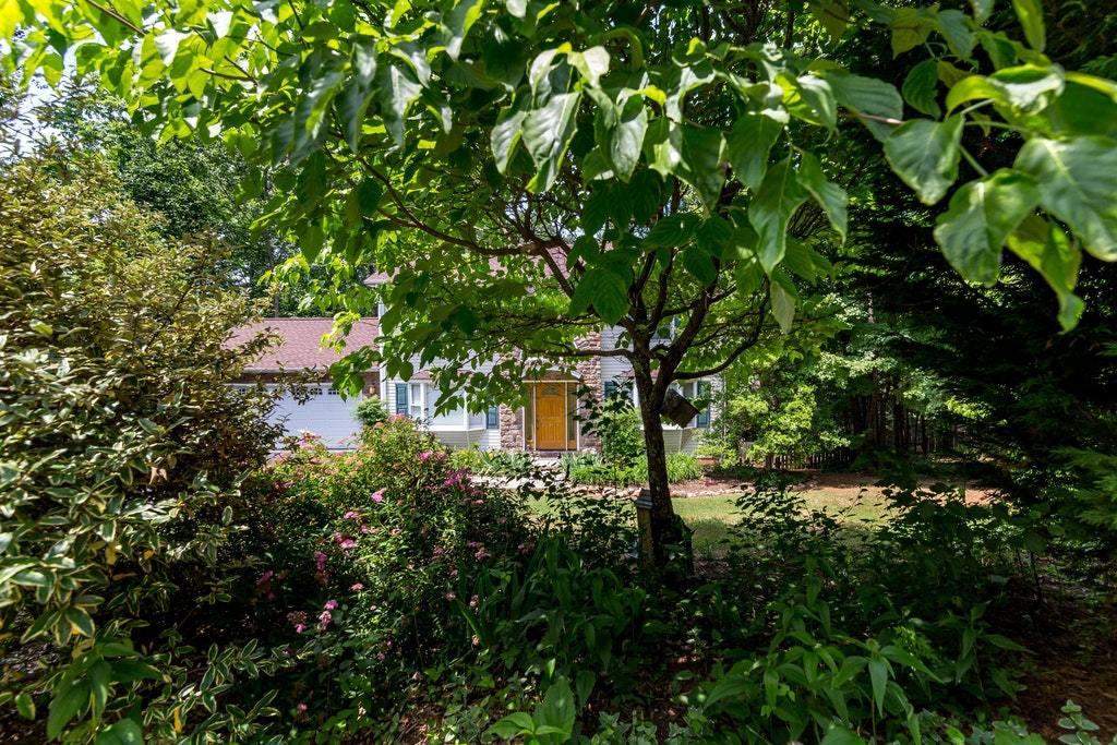 121 Oak Ridge Court Blue Ridge, VA 24064 - Photo 61 of 63 a plant view