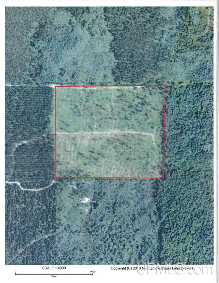 36-acres Off Flodin Road Manistique, MI 49854 - Photo 13 of 13