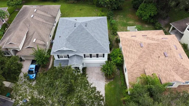 a view of a flower in a garden