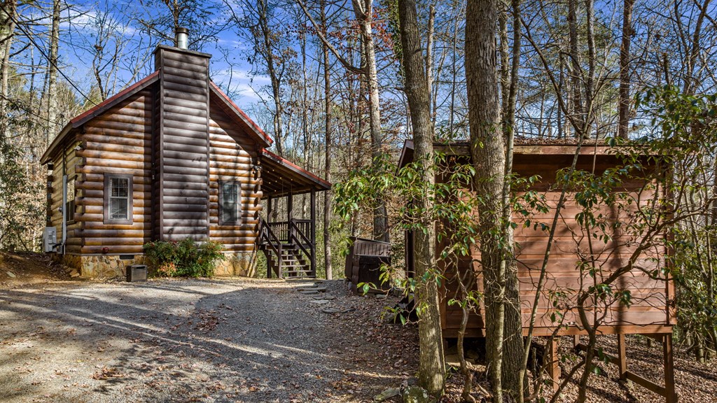 986 Joann Sisson Road Blue Ridge, GA 30513 - Photo 50 of 53 a view of a house with a yard