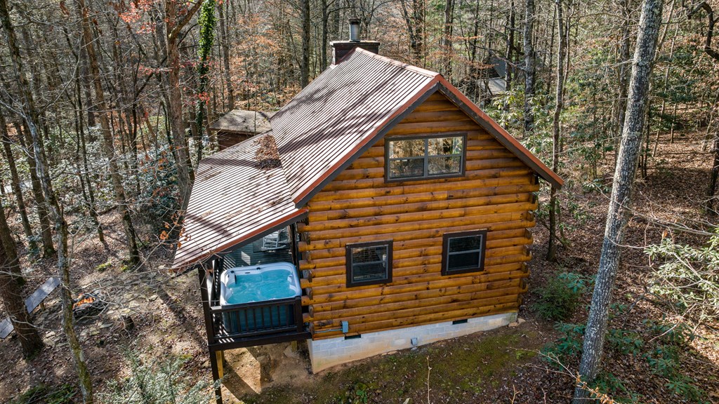 986 Joann Sisson Road Blue Ridge, GA 30513 - Photo 53 of 53 a view of house with outdoor space and trees
