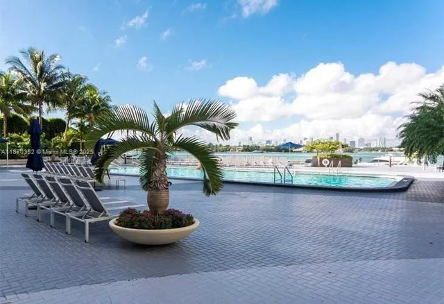 a view of a swimming pool with lawn chairs and a large tree