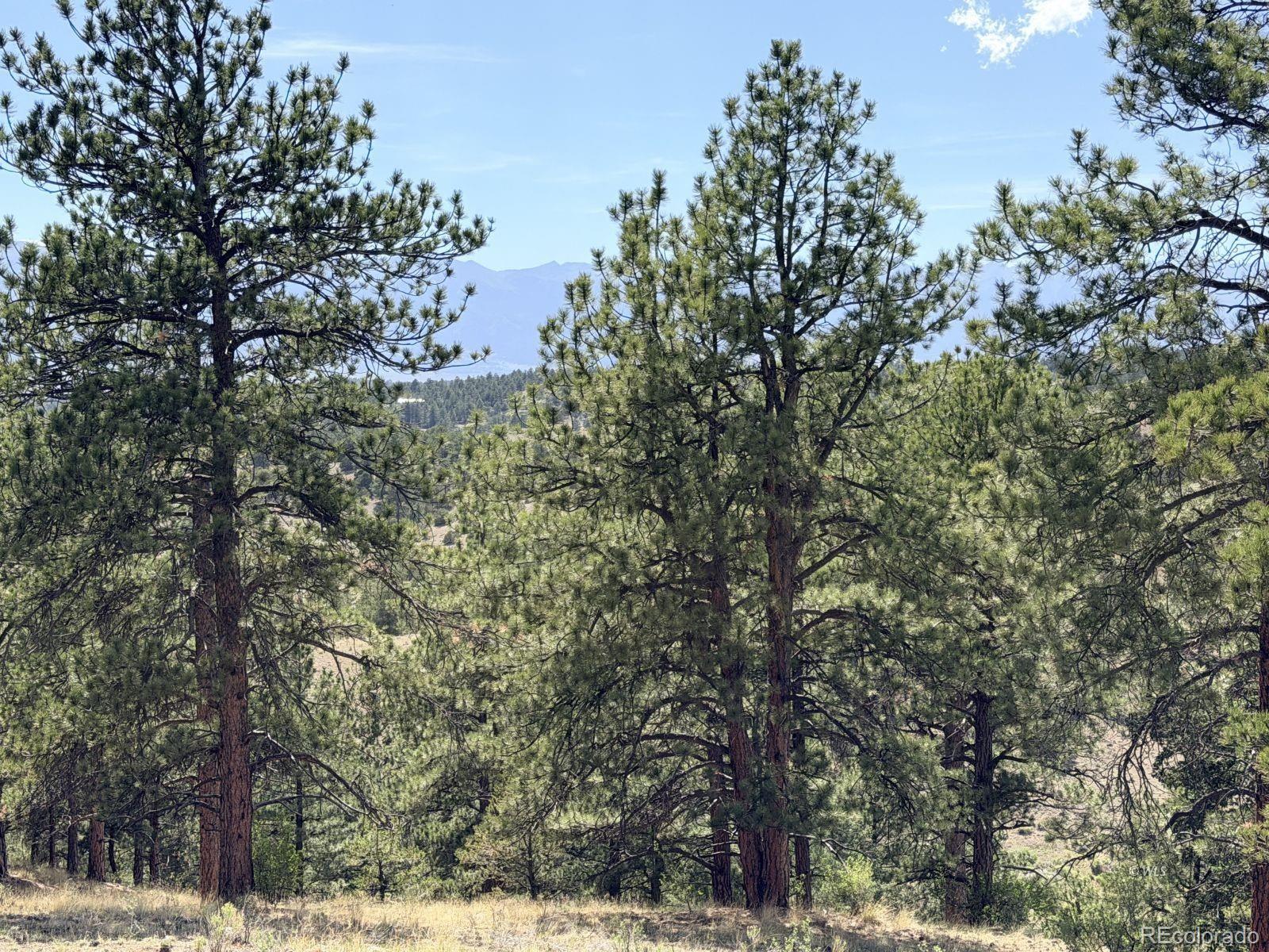 0 Schulze Ranch Road Westcliffe, CO 81252 - Photo 16 of 33