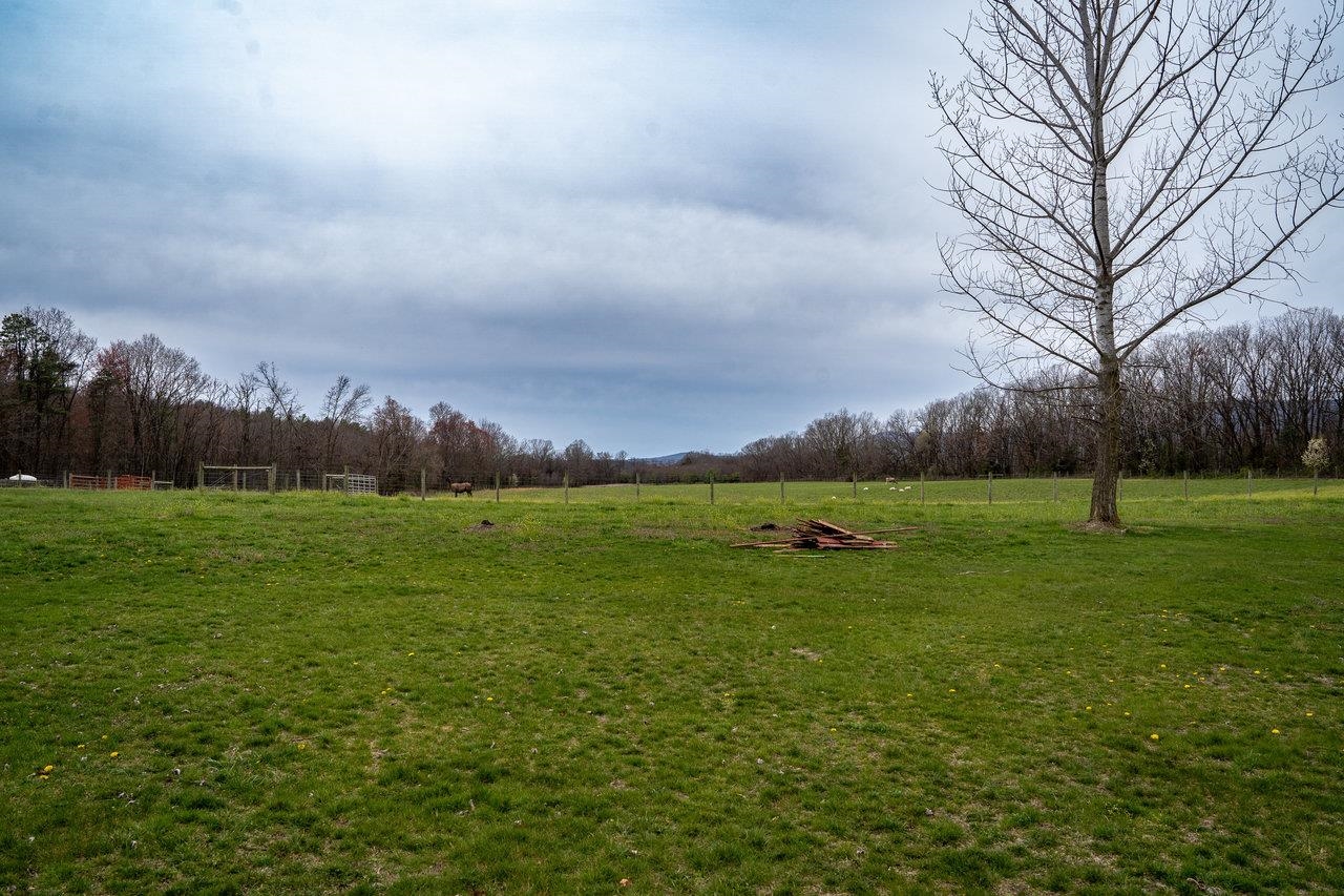 1163 Fleeburg Loop Shenandoah, VA 22849 - Photo 39 of 47 a view of field with green space