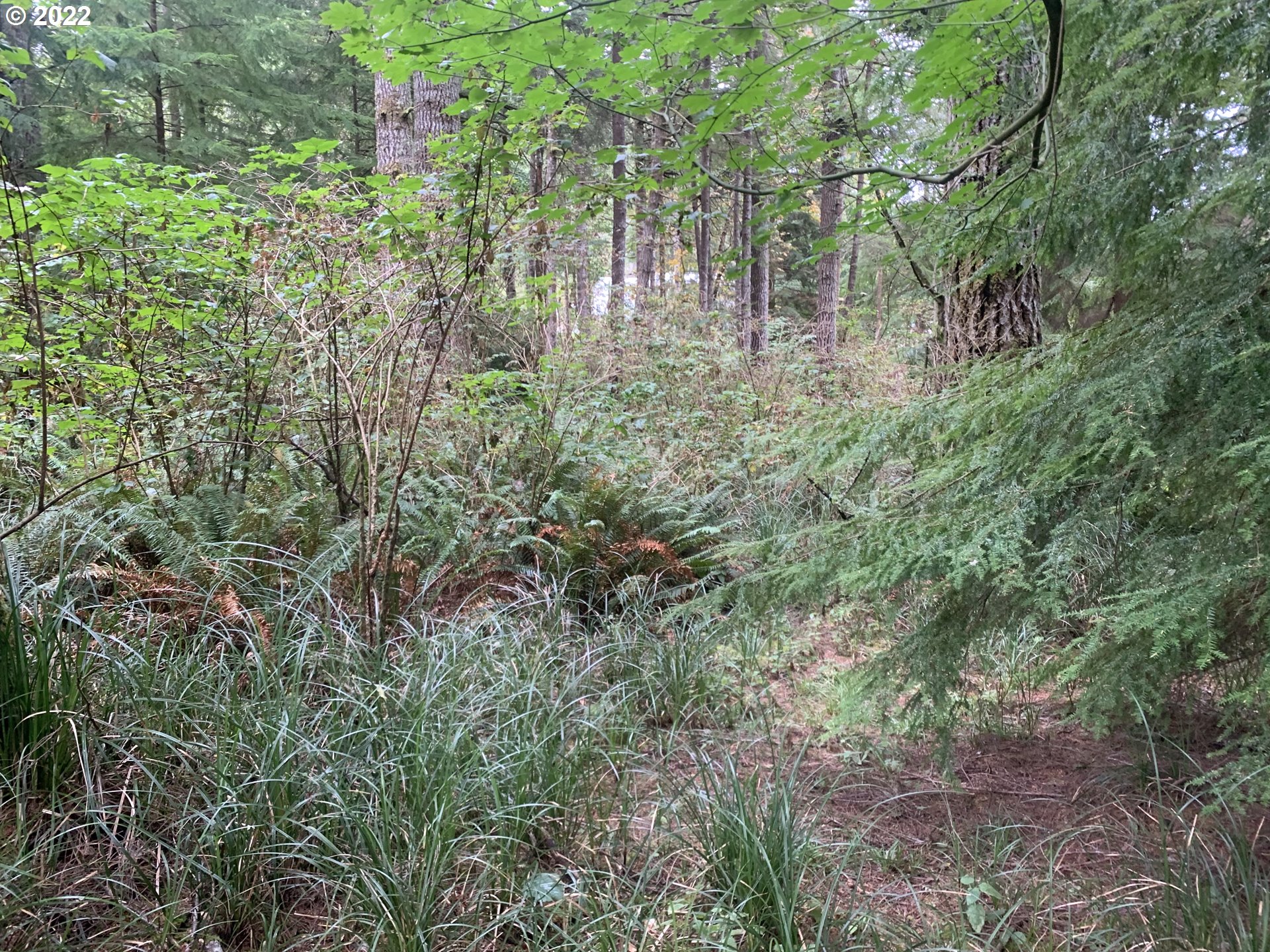 0 Ridge Road North Bend, OR 97459 - Photo 5 of 6 Gallery Image 5