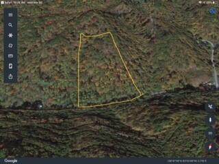 Tbd Big Br Road St. Charles, VA 24282 - Photo 1 of 3 APPROX BOUNDARY