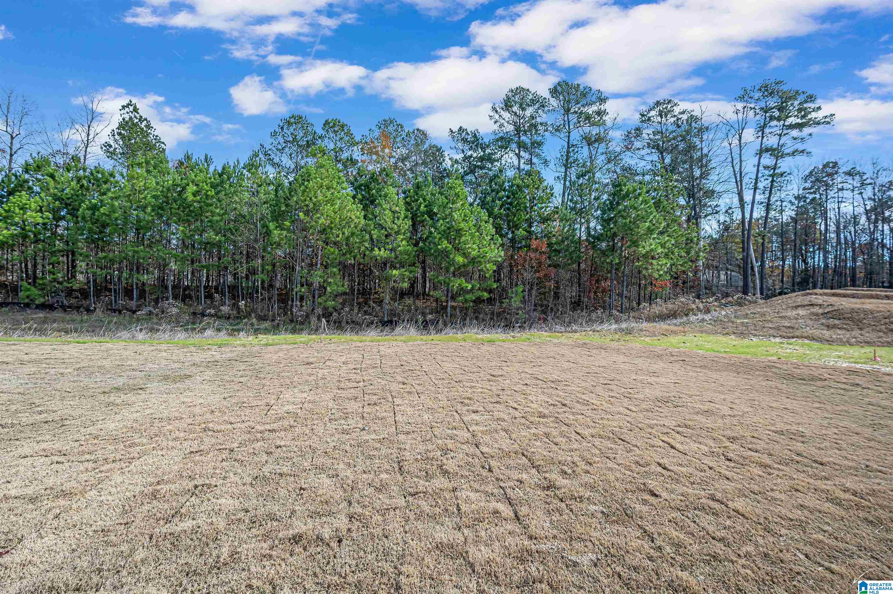 181 Barimore Boulevard Helena, AL 35080 - Photo 53 of 54