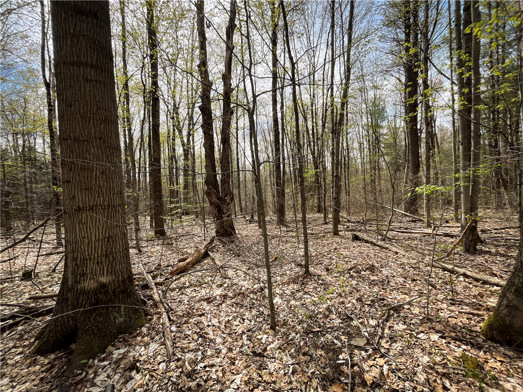 West Creek Road Richford, NY 13835 - Photo 27 of 44