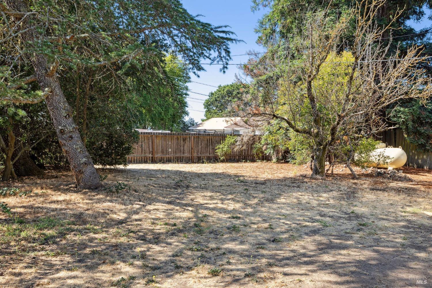 1282 Fowler Creek Road Sonoma, CA 95476 - Photo 4 of 86 a view of a yard with plants and trees