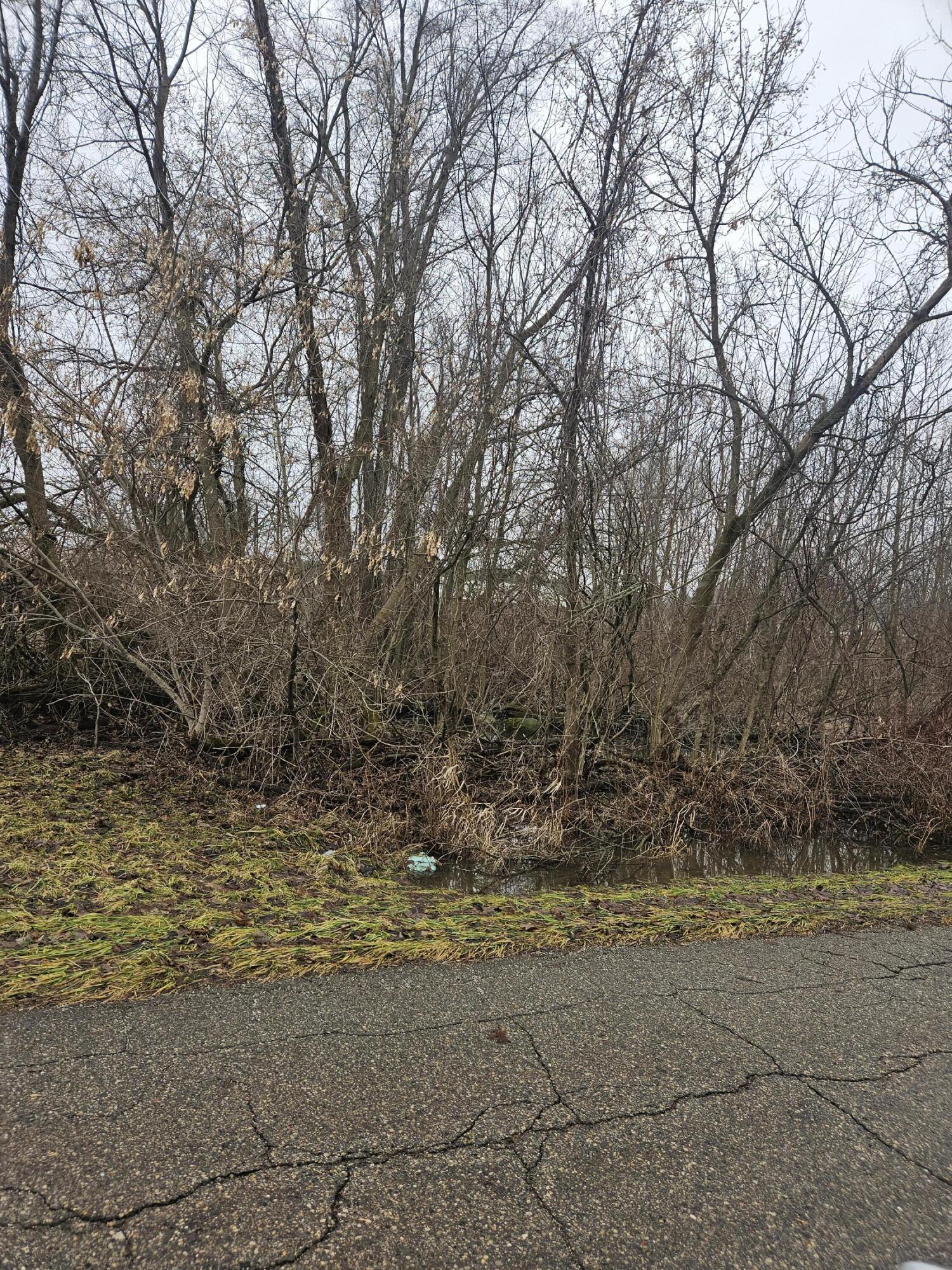 5901 Monroe Road Olivet, MI 49076 - Photo 2 of 2 S Dr 2