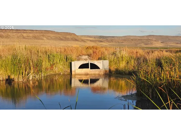 a view of an ocean and beach