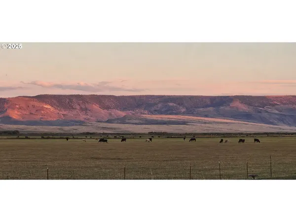 a view of an ocean and mountain