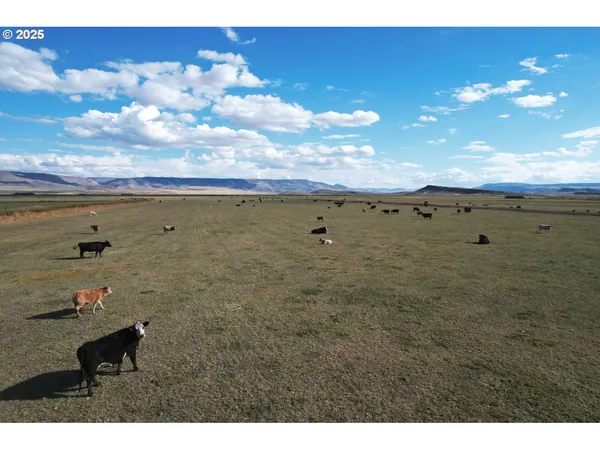 a view of wooden floor