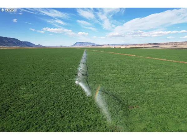 a view of a green field with an ocean