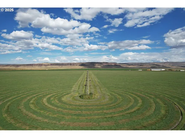 a view of a water yard and an ocean view
