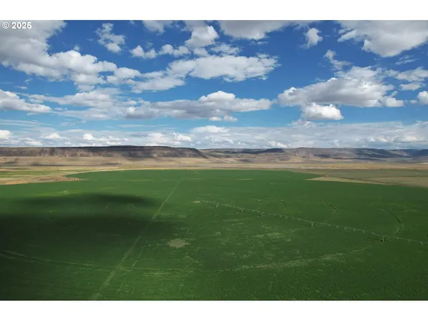 a view of an ocean and beach