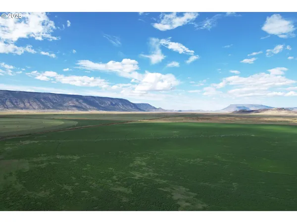 a view of a big yard with lots of green space