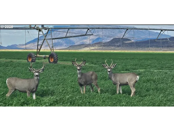 a view of yard and outdoor seating