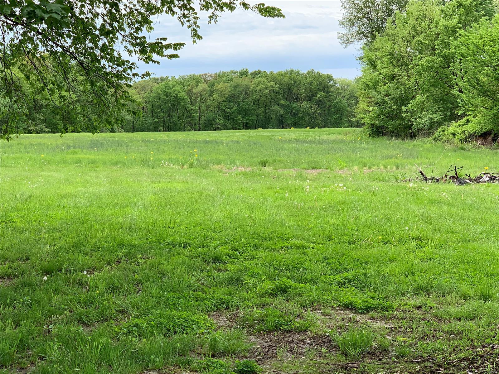 6132 State Rte 161 Extension Iuka, IL 62849 - Photo 5 of 5