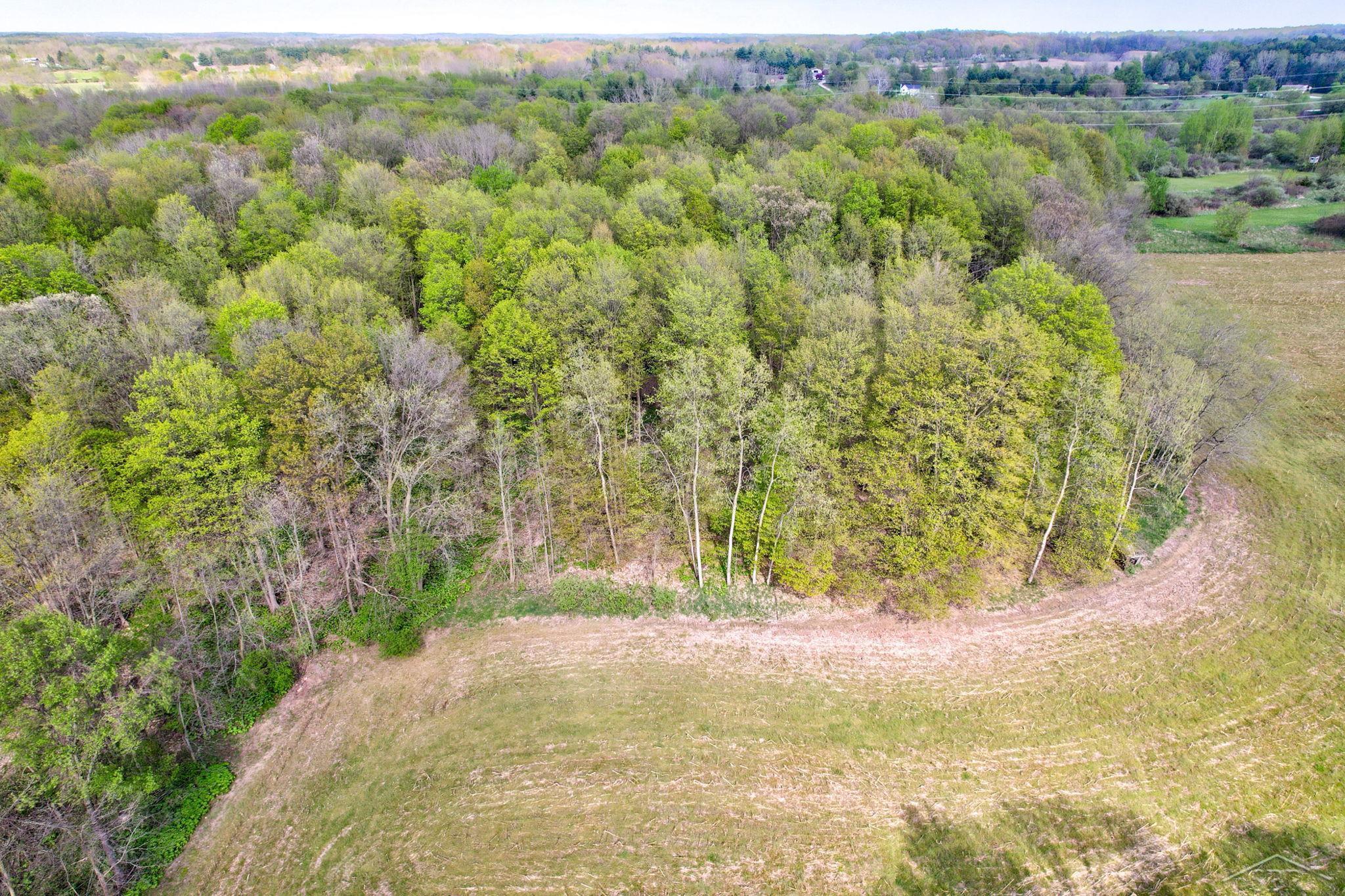 2 West Saginaw Road Fremont, MI 49412 - Photo 13 of 20
