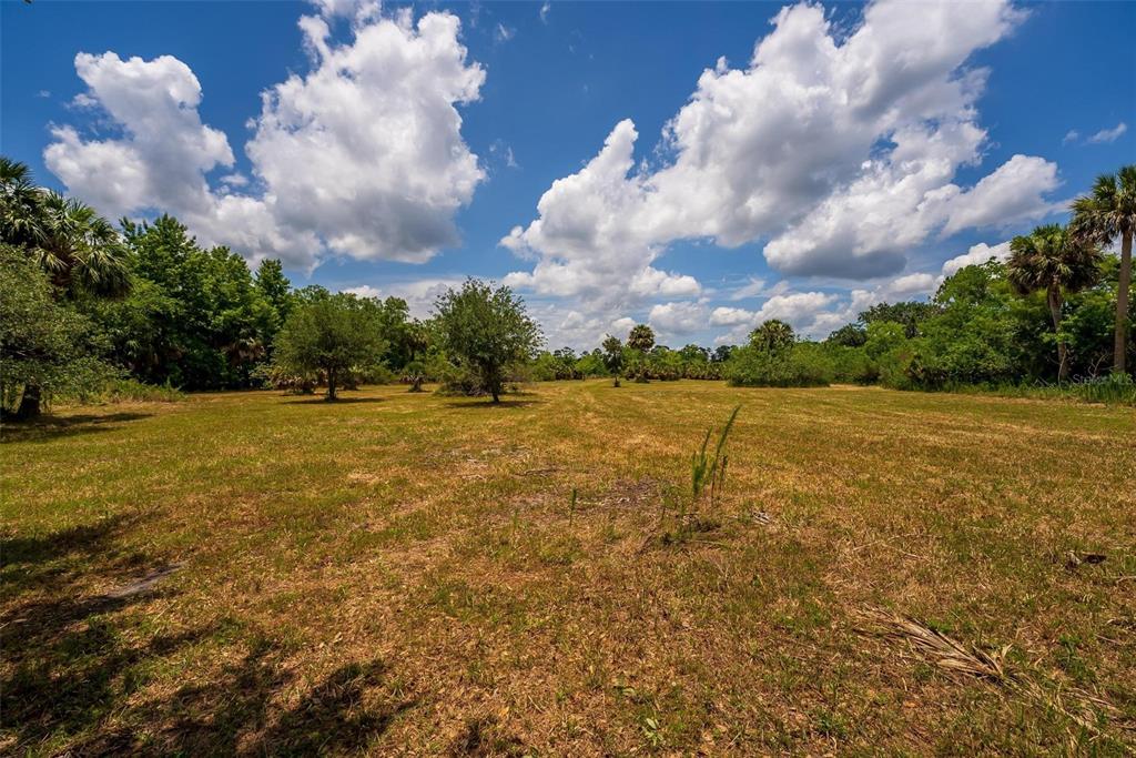 Waccassa Street Geneva, FL 32732 - Photo 21 of 23 a backyard of a house with lots of green space