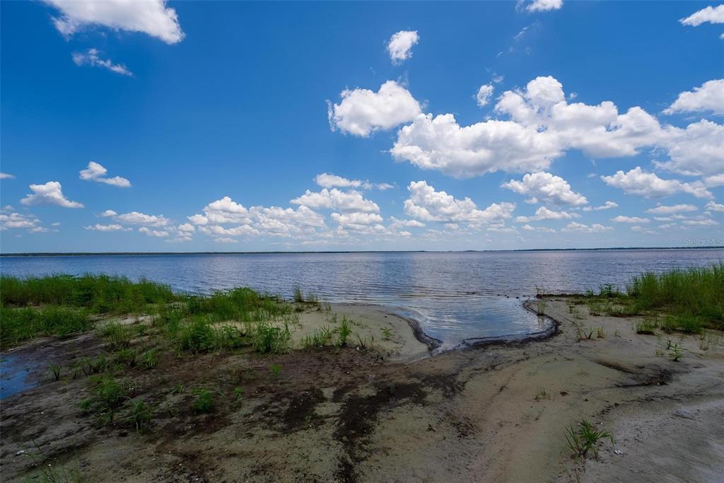 Waccassa Street Geneva, FL 32732 - Photo 3 of 23 a view of a bunch of flowers in middle of the green field