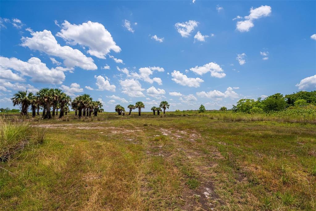 Waccassa Street Geneva, FL 32732 - Photo 10 of 23