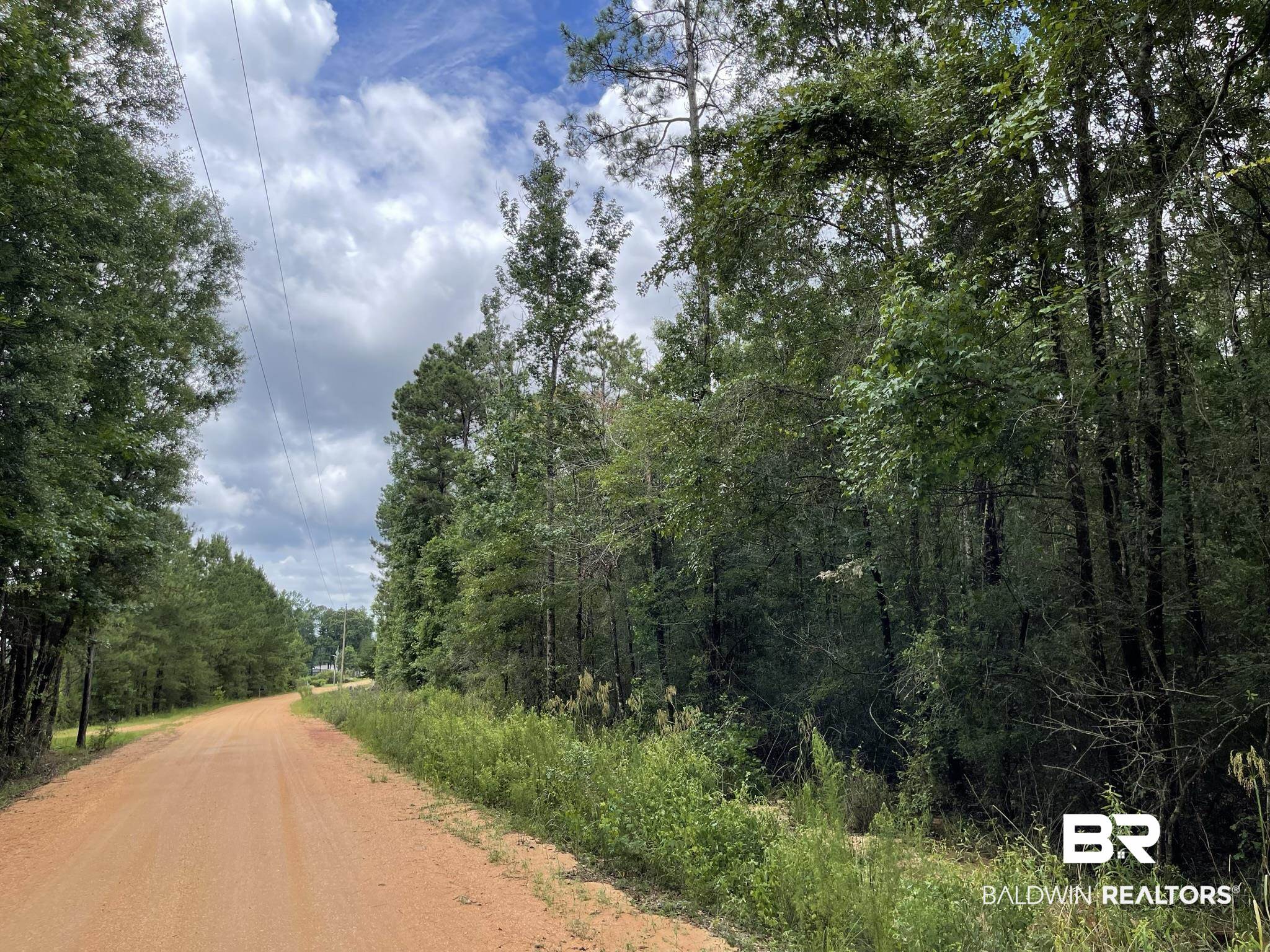 1 Friendship Road Flomaton, AL 36441 - Photo 11 of 13