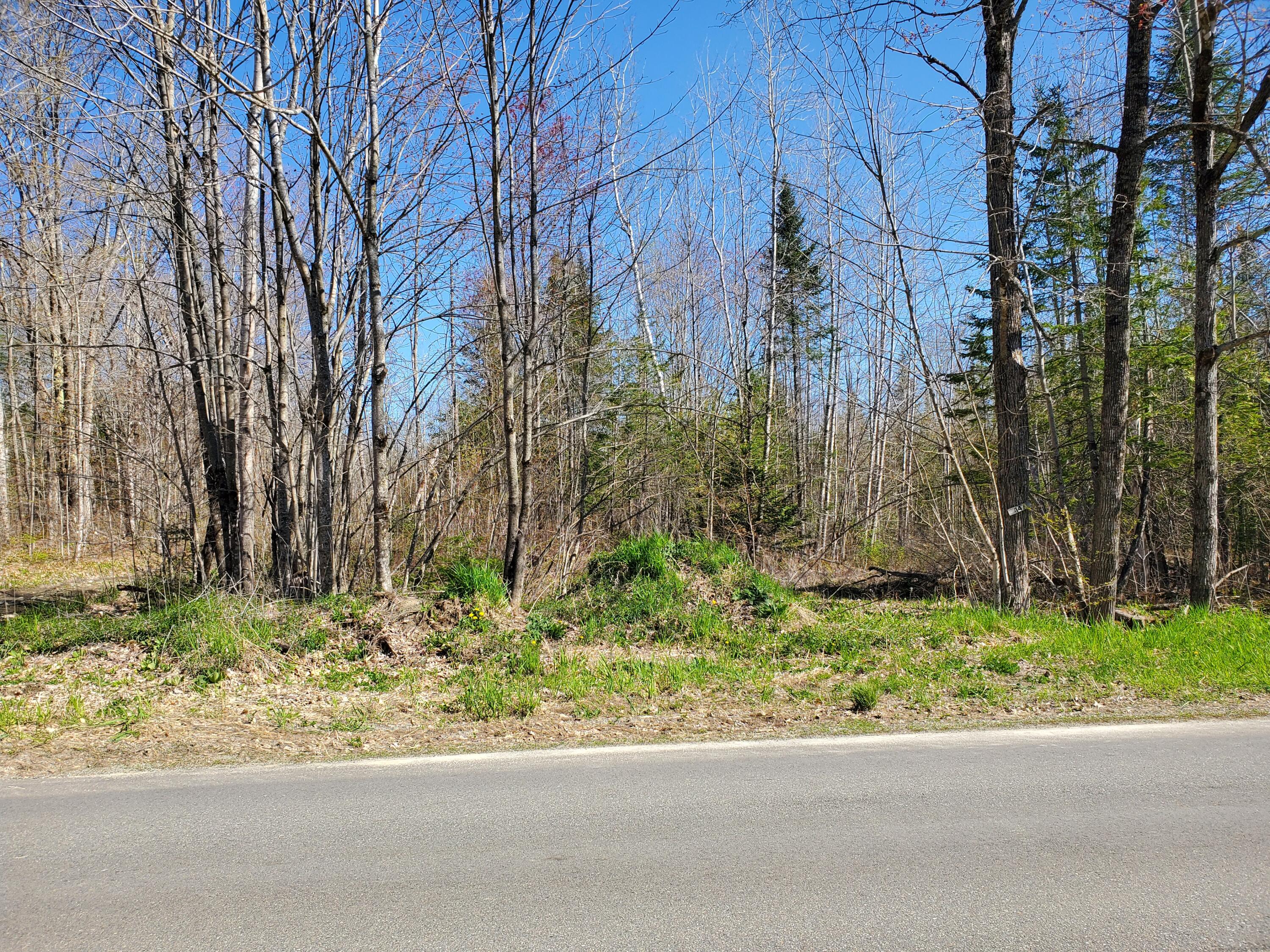 95 Garland Road Charleston, ME 04422 - Photo 4 of 6 20220509_092640