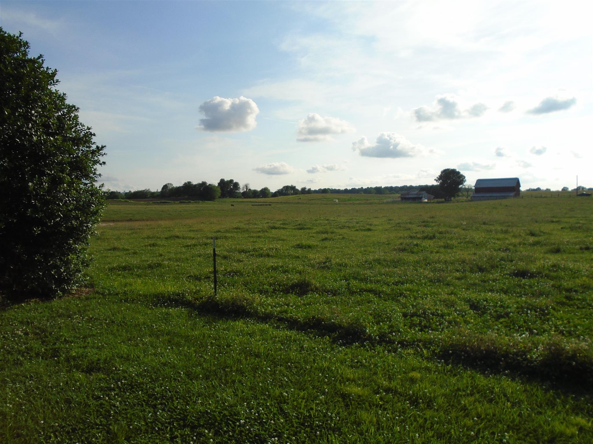 4937 Barren Plains Road Springfield, TN 37172 - Photo 2 of 9 a view of a lake with a big yard