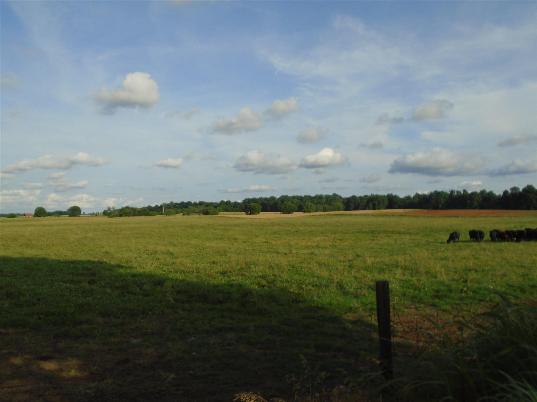 4937 Barren Plains Road Springfield, TN 37172 - Photo 3 of 9 a view of an ocean from a city